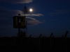 dsc_6155.jpg